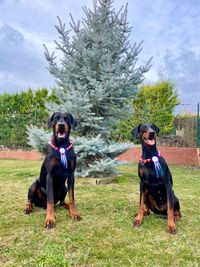 334939105_1402826080489274_8240916236705734847_n