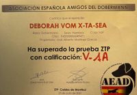 Diploma-ZTP