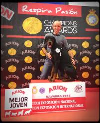 46033539_10205138310534109_888611222960734208_n