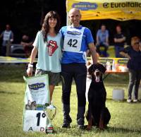 62425900_10205824941259448_7948541570632908800_n