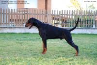 47187825_10205207516744221_4532186452951302144_o