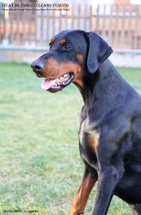 47322743_10205207517224233_675166363555201024_n