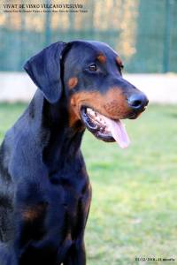 47573204_10205207515944201_3387776585682649088_n