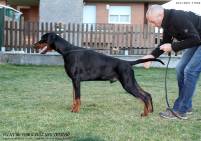 49151454_10205311409941486_921434565627609088_o