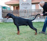 49523768_10205311409381472_4943954124489097216_o