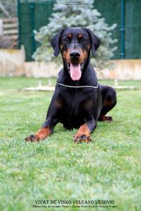 55692806_10205586658542529_4463691856407953408_n