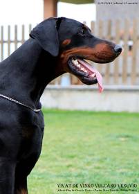 56382695_10205586661742609_5348105504751091712_n