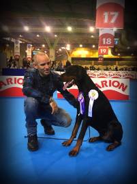 46522763_10205183632027118_7999871442046943232_n