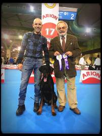 46712852_1987561001328432_1452067119234547712_n