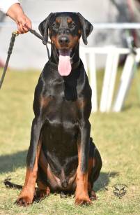 41524132_665473613845551_2936264914580275200_n