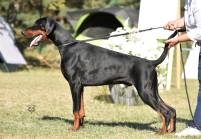 41562927_2039161489709093_1251916978906464256_n