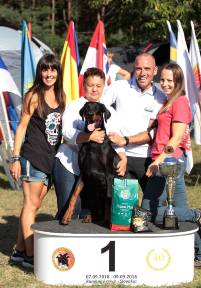 41762110_941179249398948_695331823420440576_n