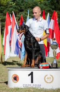 42409913_1889975684414717_6083529812792573952_n