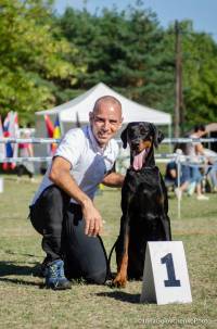 42415436_1889975534414732_3677584245624143872_n