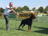 21618123_769939129852740_456046548_o