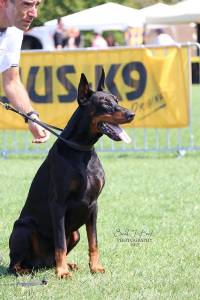 21743340_10210220073553819_7045132601281918699_n