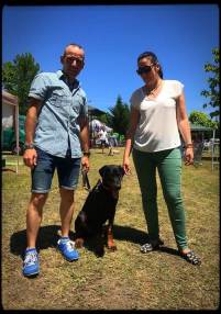 36188153_1766459140105287_3506411459368189952_n