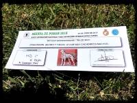 36199886_10204683974615995_687864086473474048_o