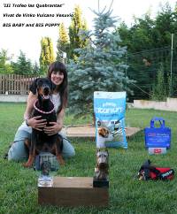 36514933_10204706269973365_1625116295097745408_n